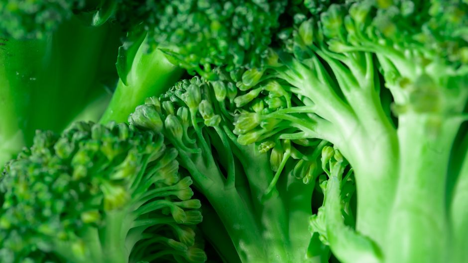 Close-up of fresh green broccoli florets